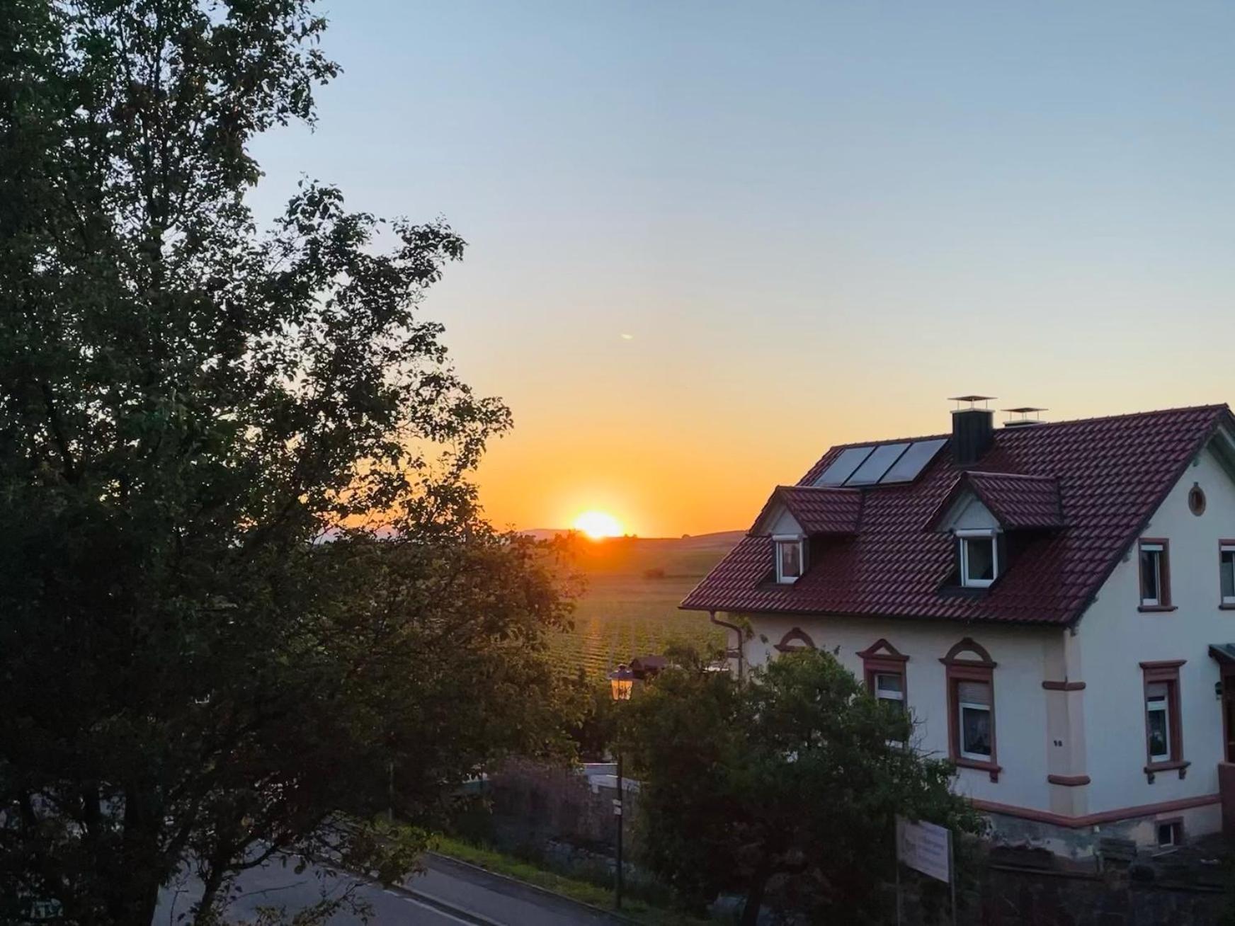 Lp Haus Der Guten Dinge Vogtsburg Kültér fotó